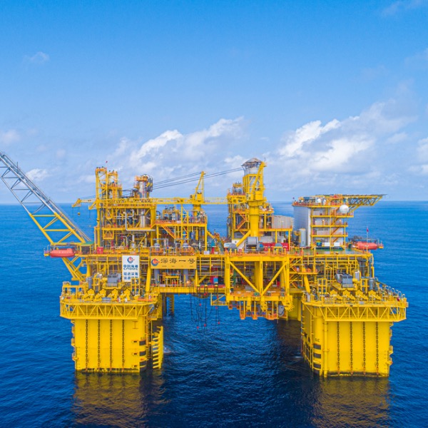 Carboxymethyl Cellul